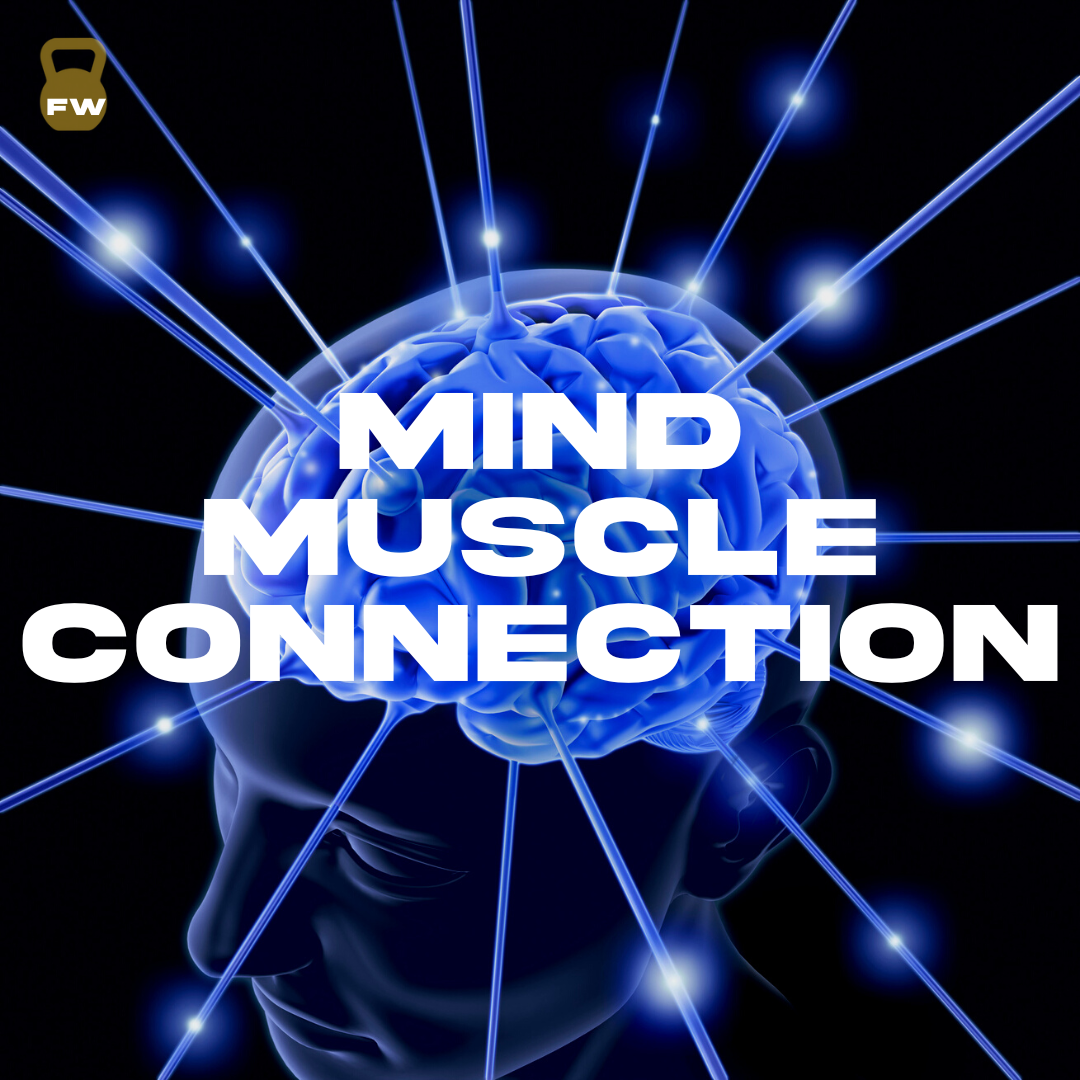 Mind-Muscle Connection - Peak Performance | Factory Weights