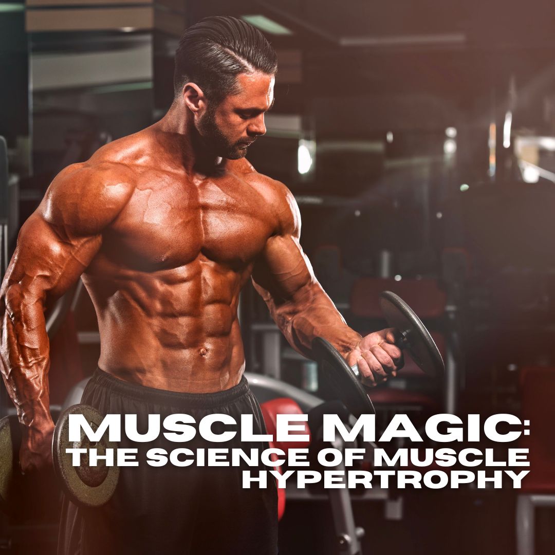 Unlock Real Gains With Muscle Hypertrophy | Factory Weights