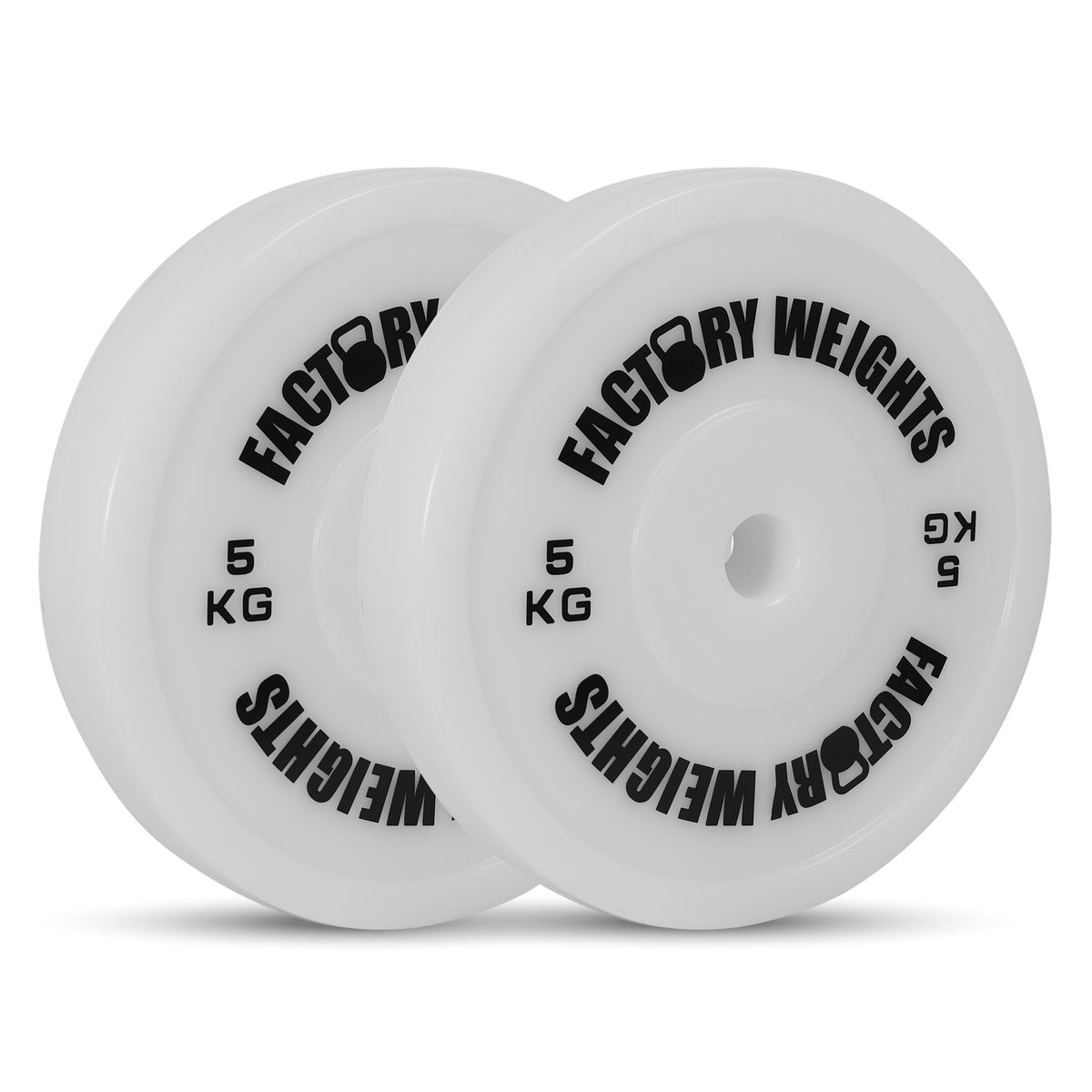 Technique Bumper Plates (Pair)